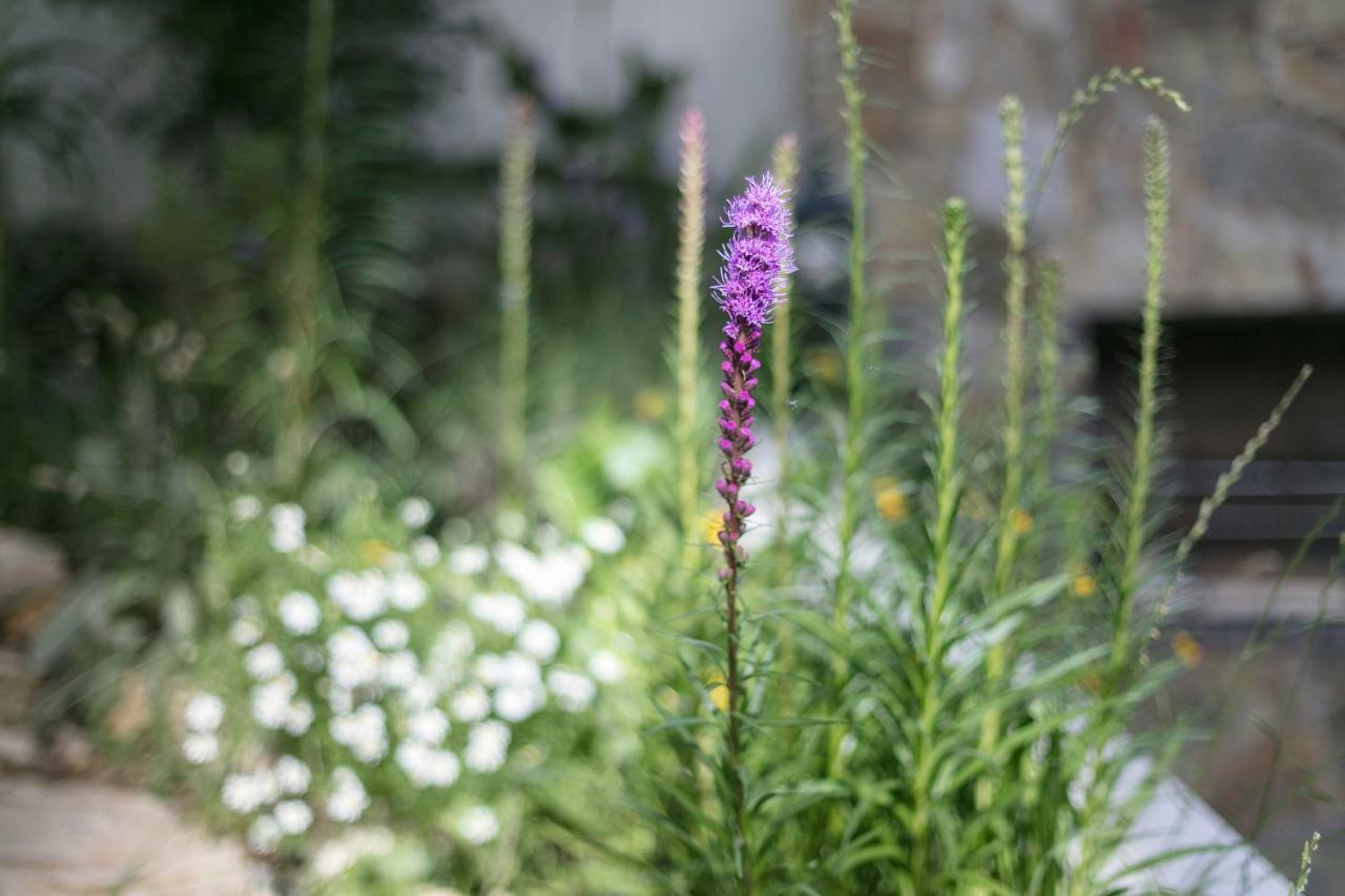 Fragrant Garden Apartment Lisbon Exterior photo